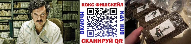КОКАИН Fish Scale Гулькевичи